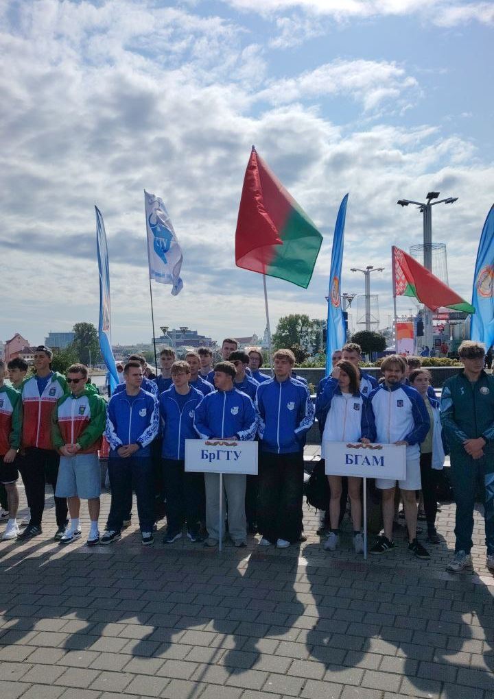 Гонки на драгонботах