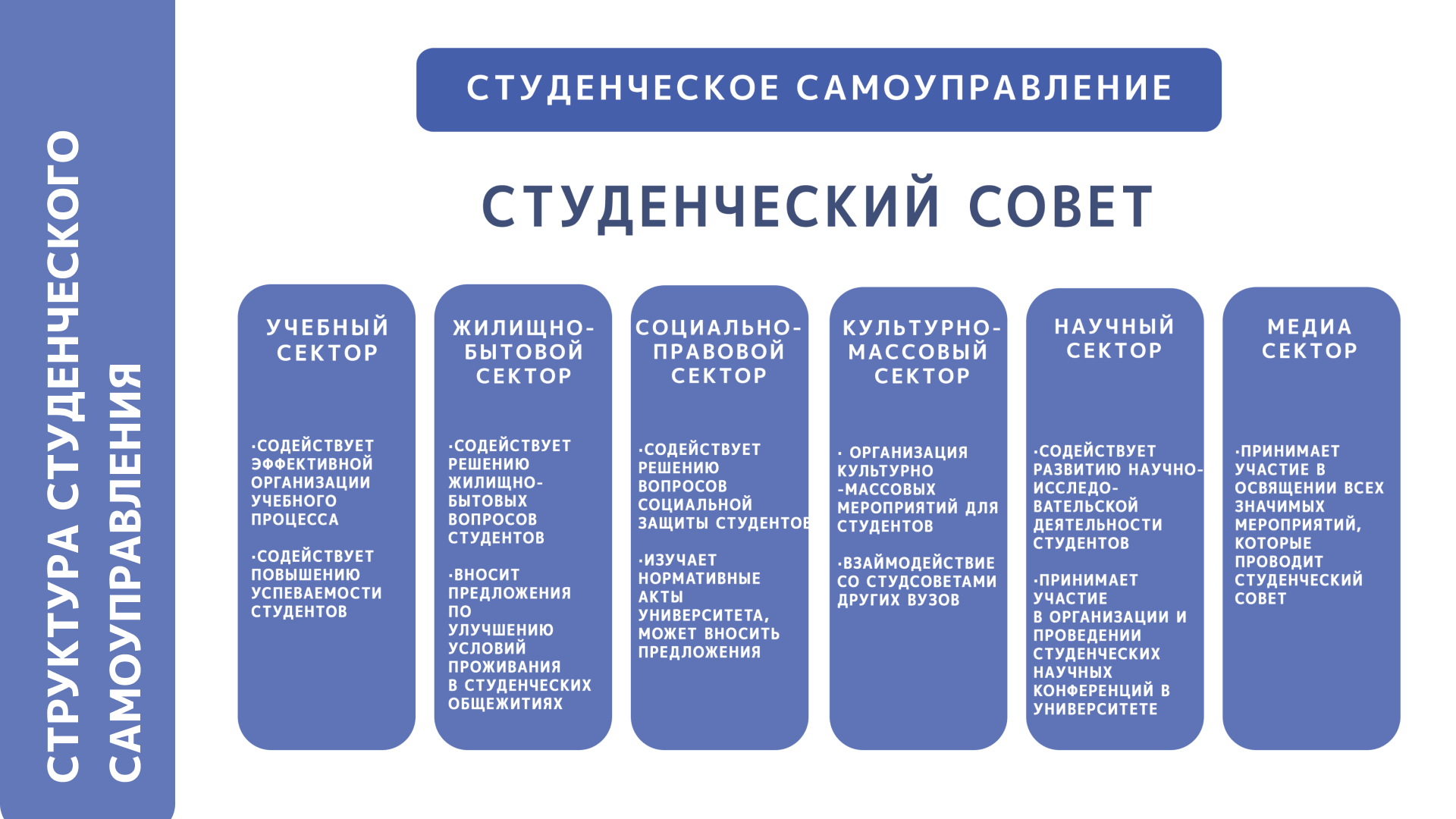 Структура Студ. Совета